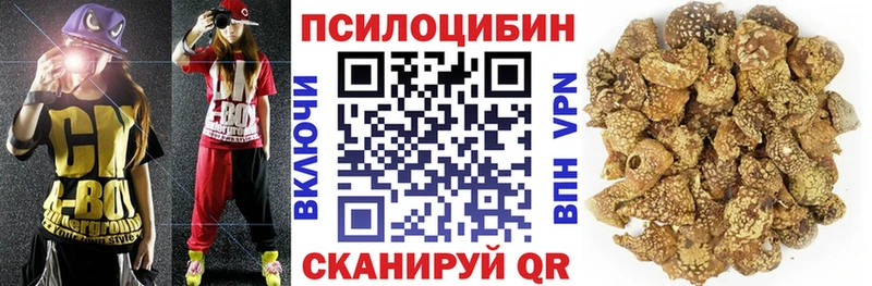 hydra ссылка  Называевск  Псилоцибиновые грибы Psilocybe  даркнет сайт 